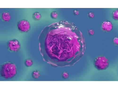 滨州市第39例造血干细胞捐献志愿者王学峰光荣“归来”