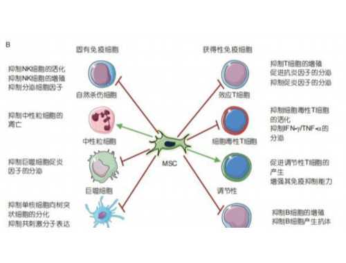 中国康复医学会关于开展2023年度科技发展项目申报立项工作的通知