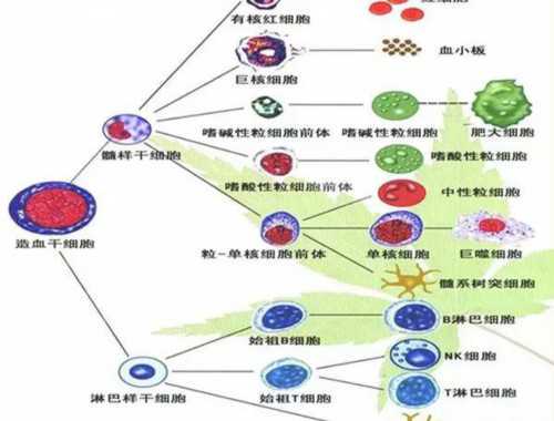 做了肠子都悔青的医美项目有哪些，赶紧收藏下来以免上当！