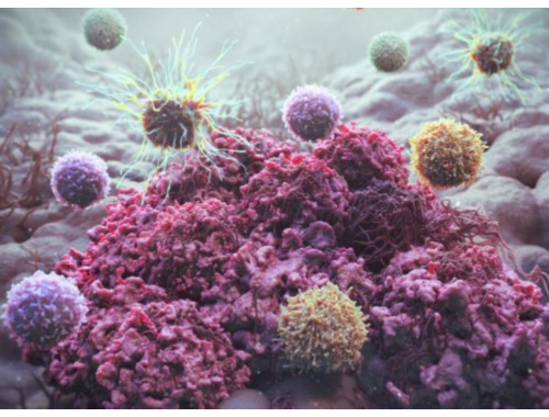 脑袋没了都能长出来，厉不厉害