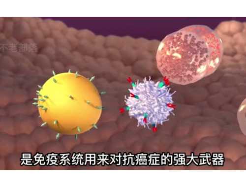 拯救生命 爱心相“髓”——邹平市红十字会造血干细胞常态化血样采集点揭牌仪式在妇保院举行