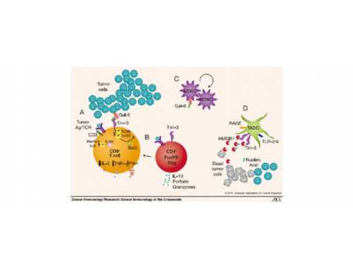 《Nano Res.》：低氧预处理干细胞的生物纳米制剂用于脑卒中