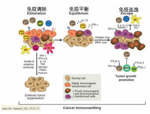 秦安县中医医院：名医定期坐诊推进医疗服务能力提升