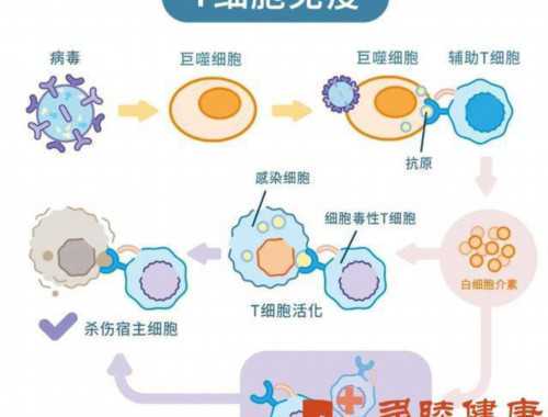 宁夏评选出上半年10名“宁夏好人” 95后消防员因敬业奉献入选