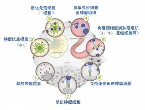 高考生物426个知识点