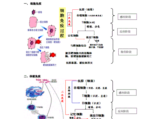 体育老师患罕见病“系统性轻链淀粉样变性” 大坪医院多学科护航助其重返操场