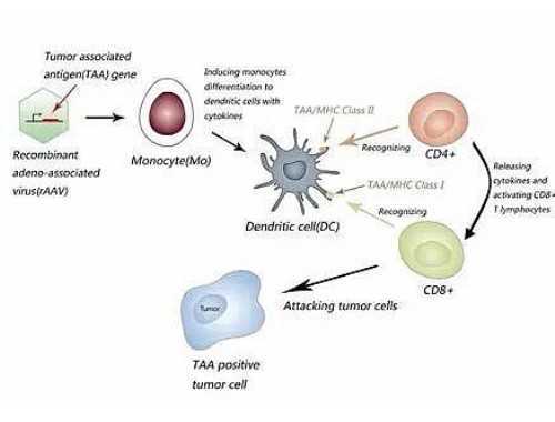 国外又有2人尝试用干细胞移植治愈艾滋！结果如何？