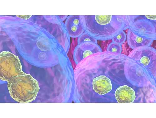 Nature：双相障碍脑细胞可预测锂盐应答