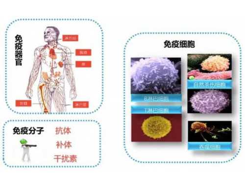 火箭军某部战士为6岁小患者捐献造血干细胞