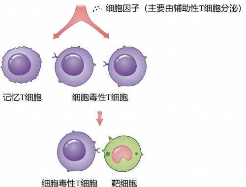 带着儿子一起为生命续航 儿子说：“爸爸是大英雄！”