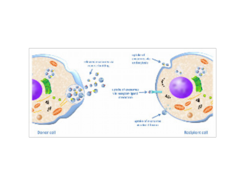 阿勒泰地区志愿者成功捐献造血干细胞援助北京白血病患者