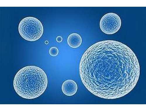 黄小琥催婚萧煌奇 「妈妈想抱孙啦」