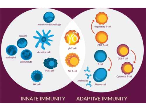 徐州睢宁小伙捐献造血干细胞：其实很平常