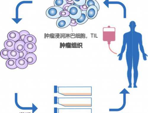 海南博鳌超级医院正式营业