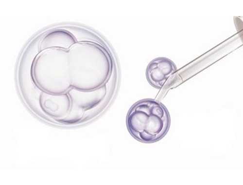 成都：自存脐带血移植成功 弟弟助地中海贫血姐姐重获新生