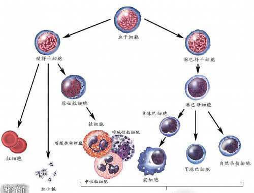 在中国，每10秒就有1人因这种疾病死亡！新技术来了！对它的治疗有重大突破→