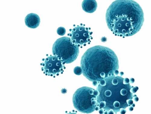 苏州大学医学大爆发，新增3位院士候选人，未来可能进入第一梯队