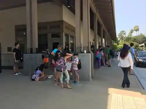 自助游学受热捧 中国学生赴美体验美式课程