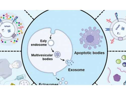 全省第821例 开封第25例 开封望亚军成功捐献造血干细胞