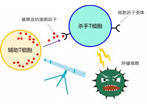毓璜顶医院血液内科初晓霞：不懈探索医学前沿