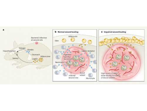 山东推荐2019全国五一劳动奖和全国工人先锋号名单