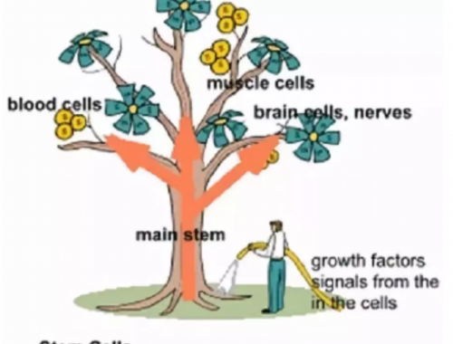  富德生命人寿宜宾中支：全川首例CAR-T疗法理赔记
