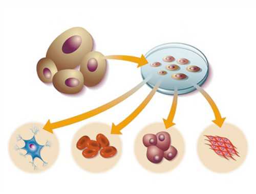  臻叶生物荣获影响济南“她经济”卓越品牌