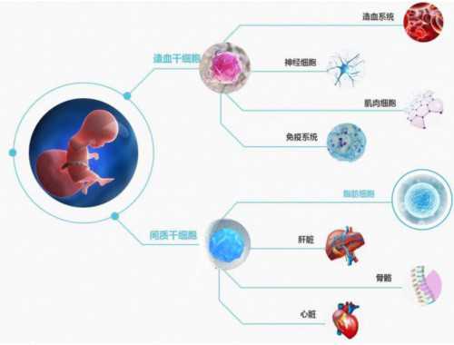 每10秒就有1人因这种疾病死亡！对它的治疗有重大突破…