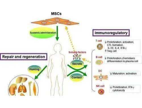 富德生命人寿云南分公司银保渠道完成首例重疾理赔
